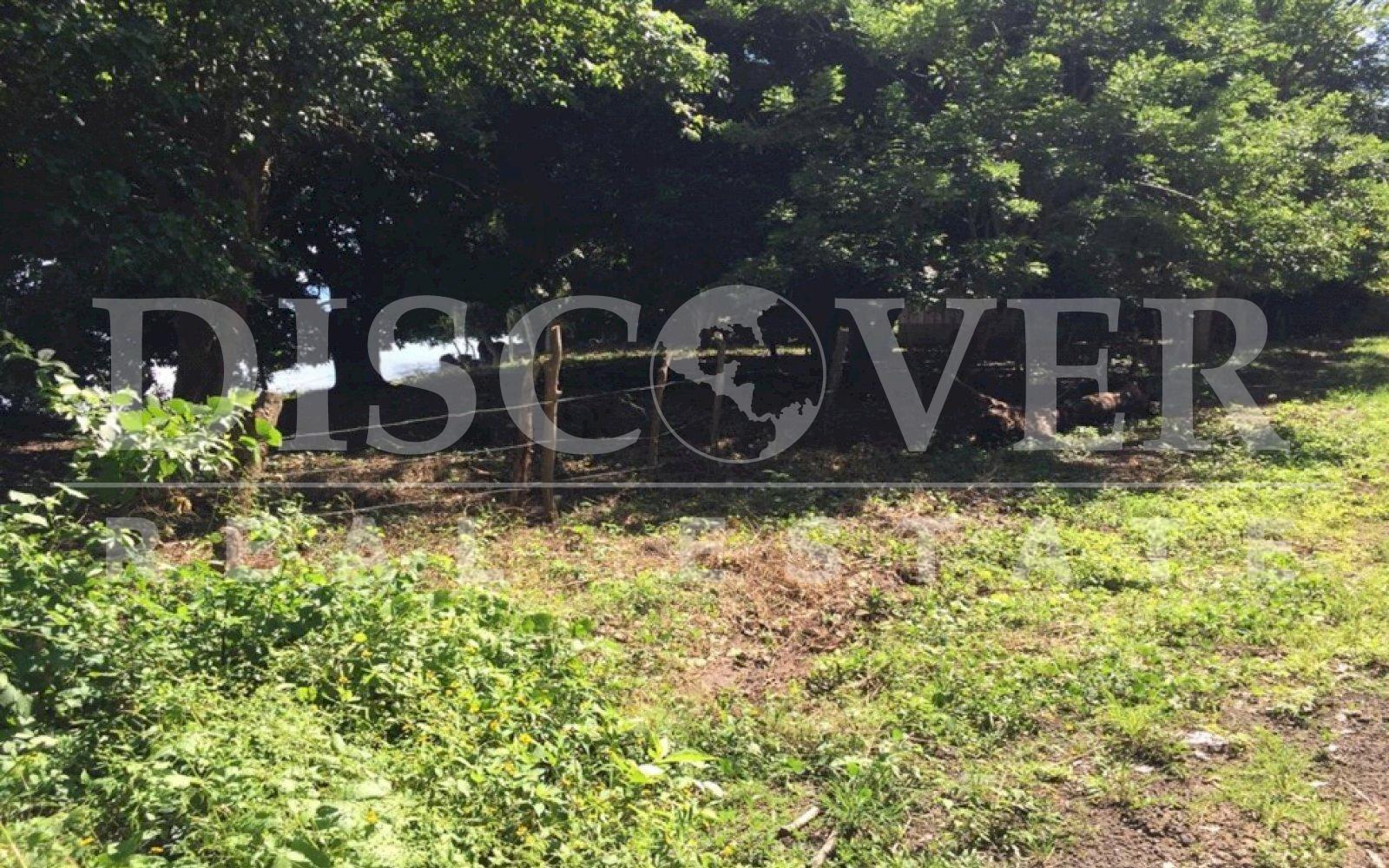 Land for Sale on Ometepe Island ID 12760 Discovernica